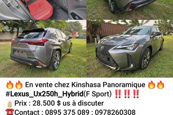 Vhicule en vente  243895375089